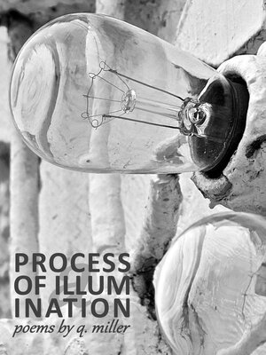 cover image of A Process of Illumination